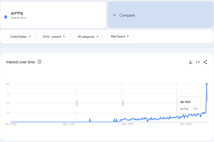 Gurt trend graph and slang origin