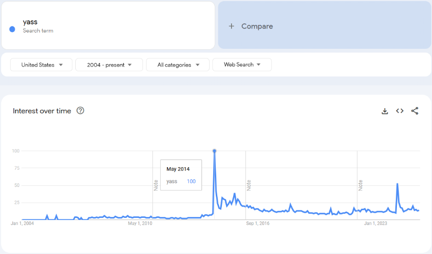 Yass Slay Queen Culture