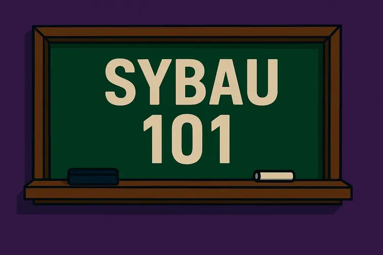 SYBAU Meme Meaning Overview