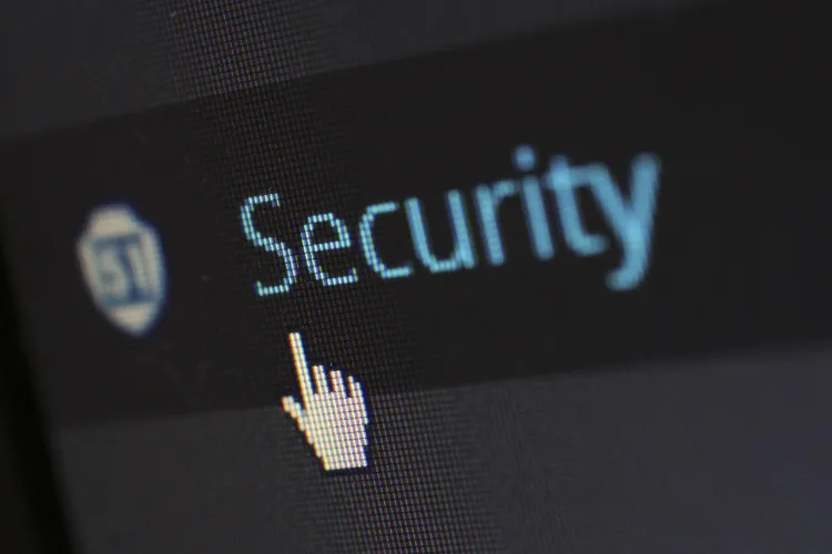 security in the browser