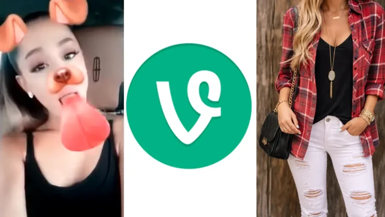 2016 Top Banner, Filters, Vine and Fashion
