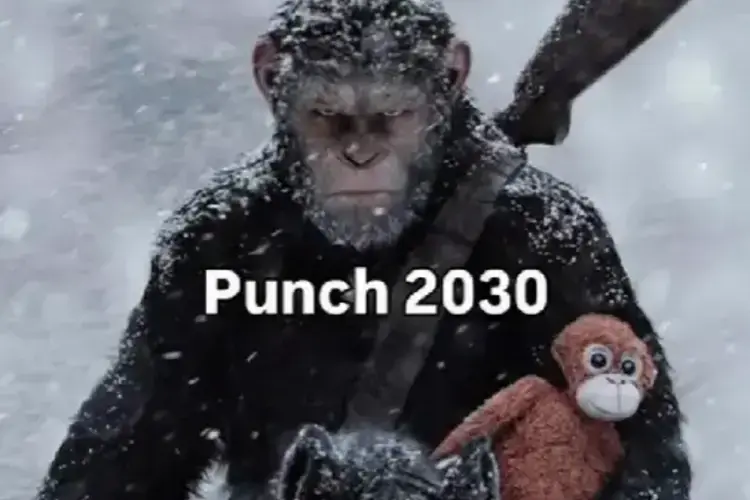 Punch The Monkey 2030 TikTok Meme By @uk___wala3