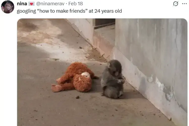 Punch The Monkey X Meme By @ninamerav