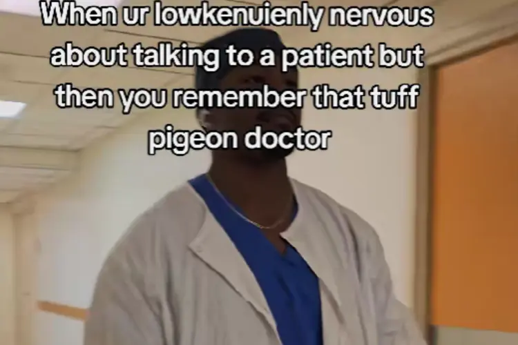 Tuff Pigeon Walking Meme by @omt3139 on TikTok