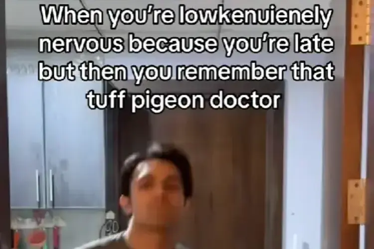 Tuff Pigeon Walking Meme by @uzimustafa7 on TikTok