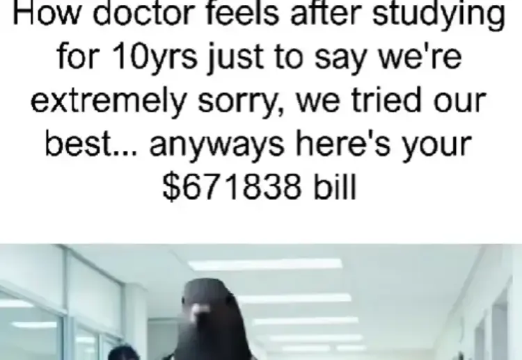 Tuff Pigeon Walking Meme by @viralvibes19190 on TikTok