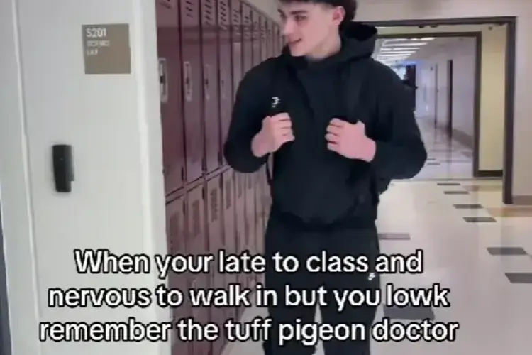 Tuff Pigeon Walking Meme by @idk.who.carter.is